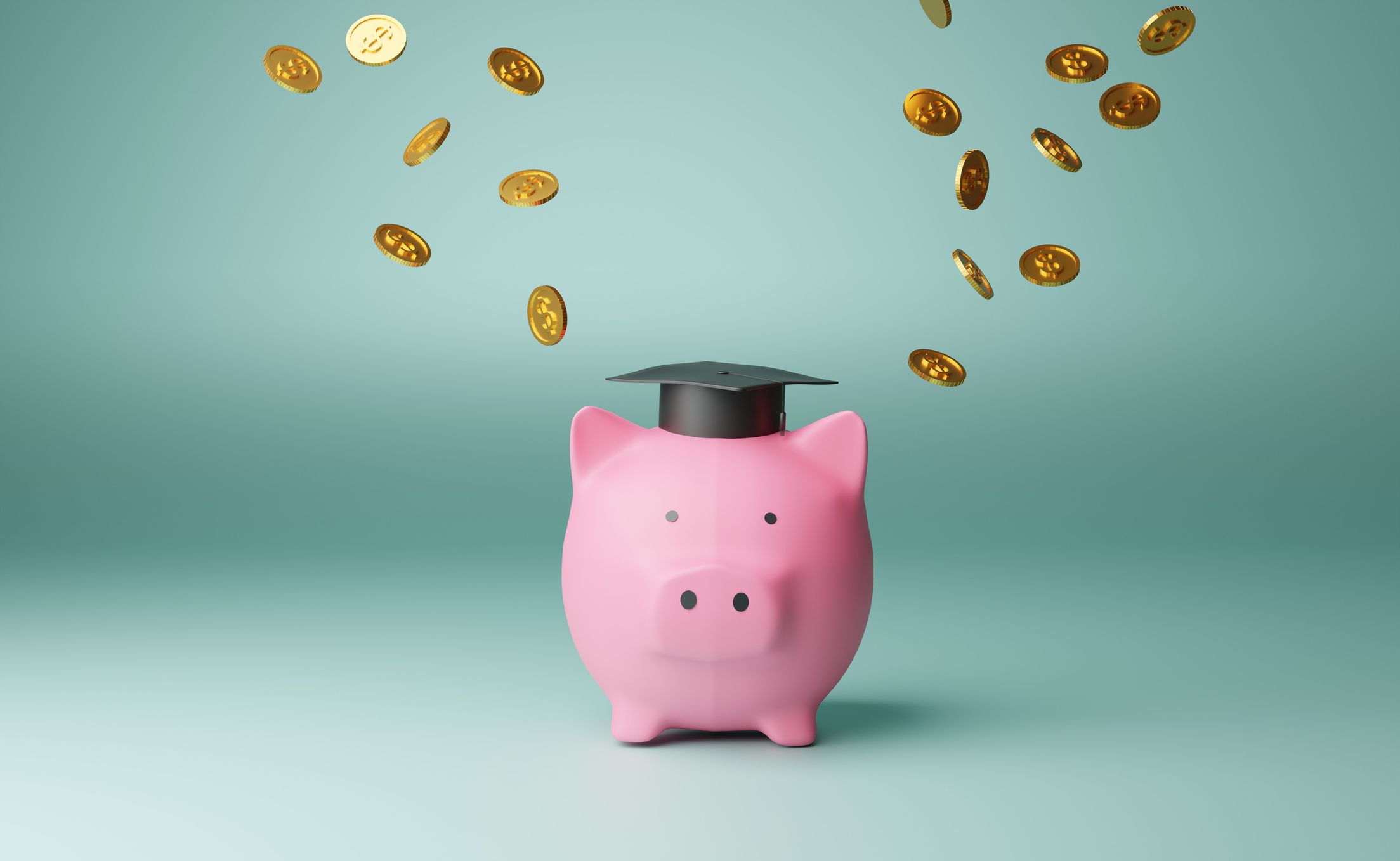 Piggy bank savings