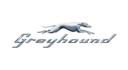 Greyhound