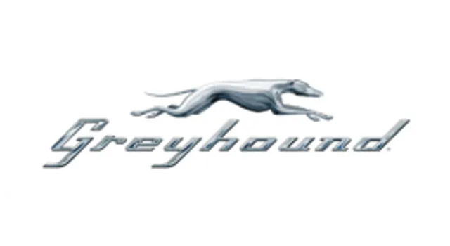 Greyhound