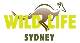 WILD LIFE Sydney Zoo