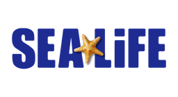 Sea Life