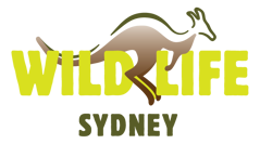 WILD LIFE Sydney Zoo