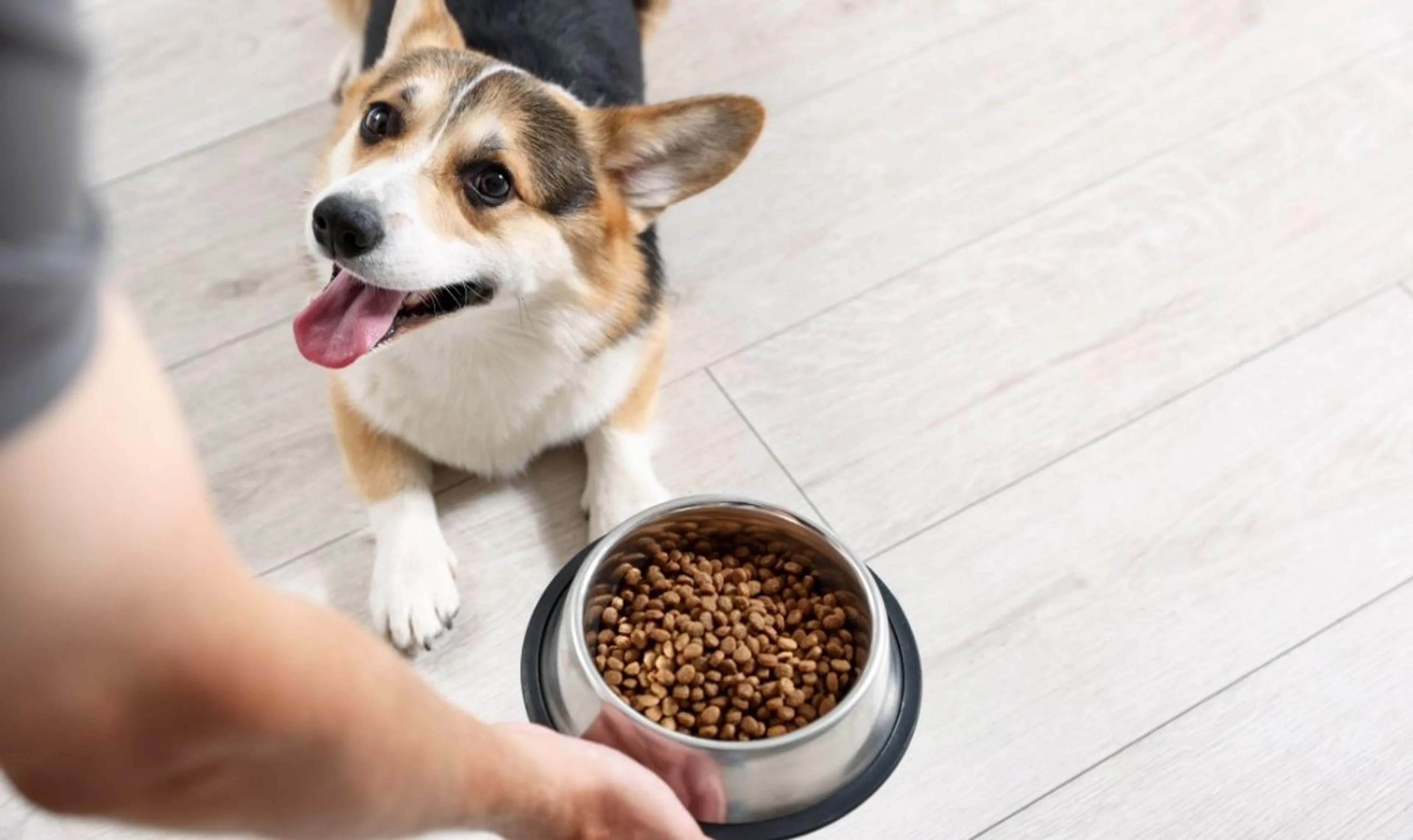 Shop Special Offers!