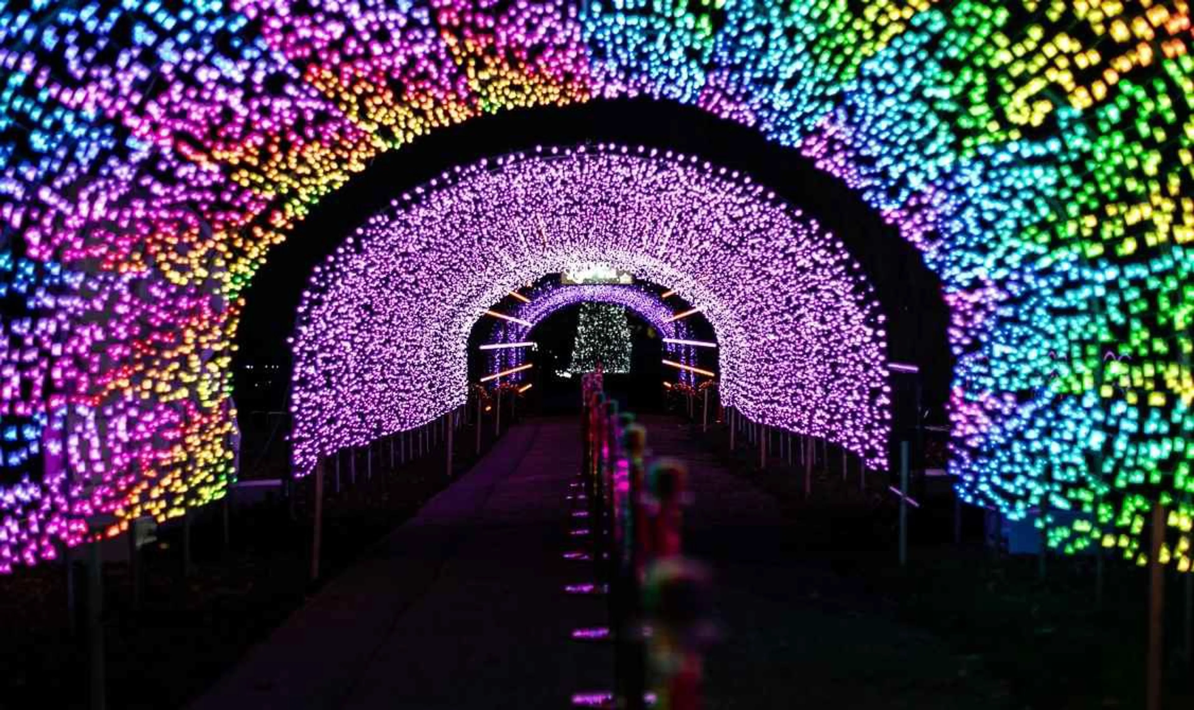 Light Trail Tickets From £13 (Mon–Thurs)