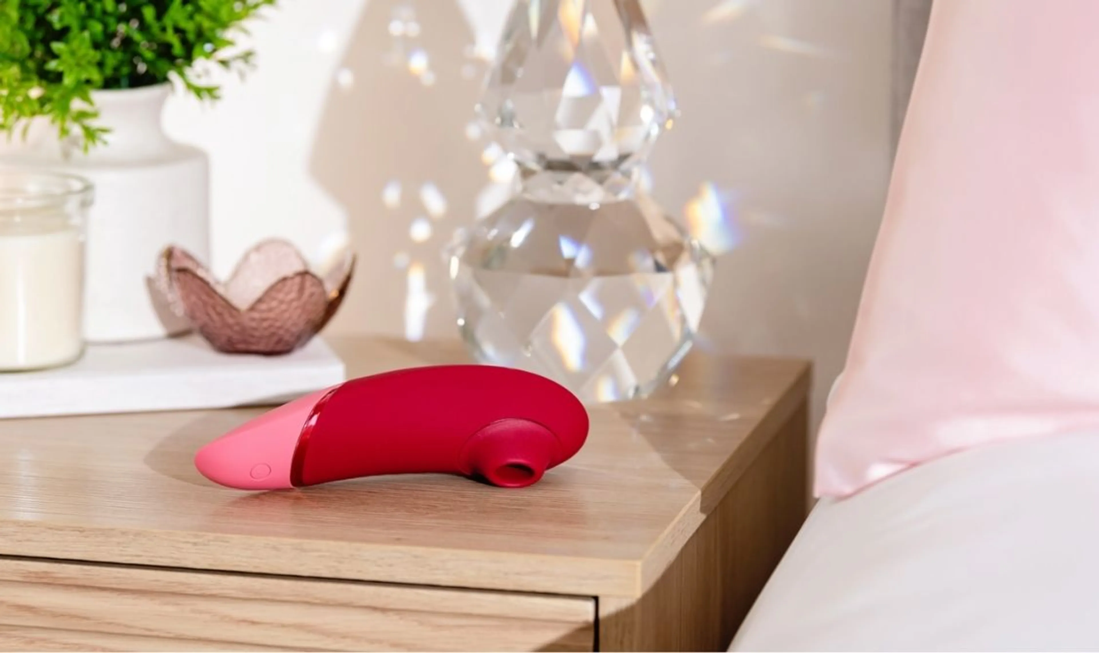 20% Off + FREE Toy when you spend $240