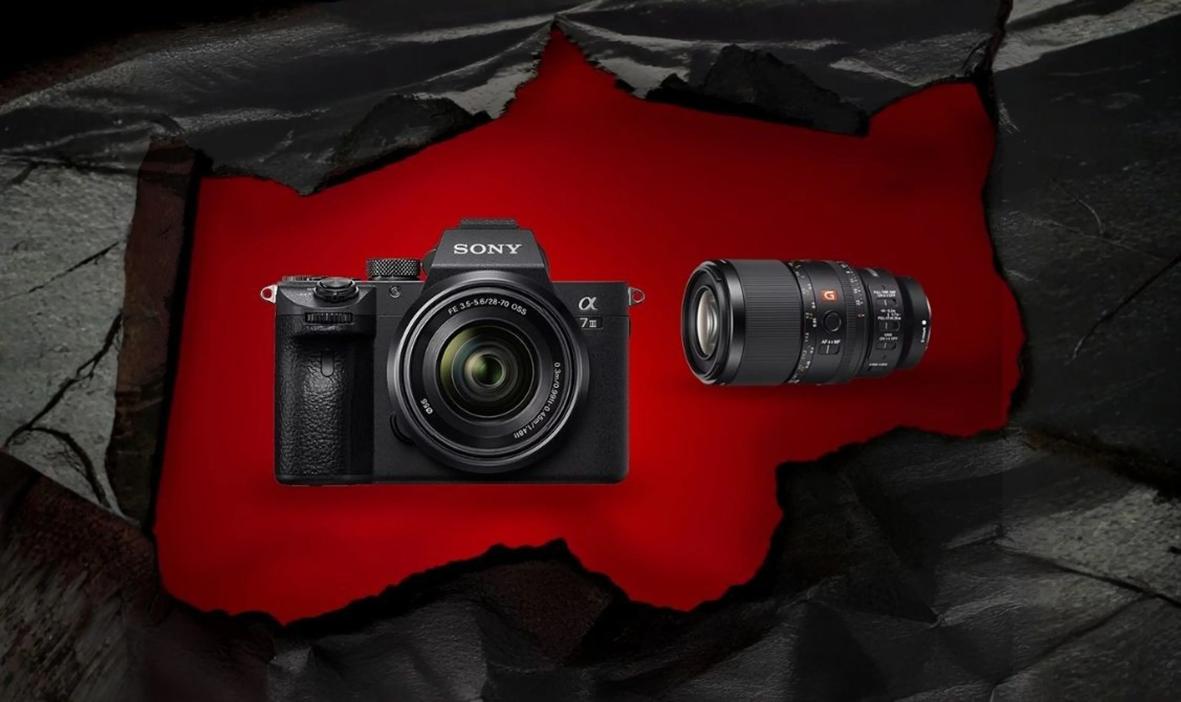 Up to 25% Off cameras and lenses now!