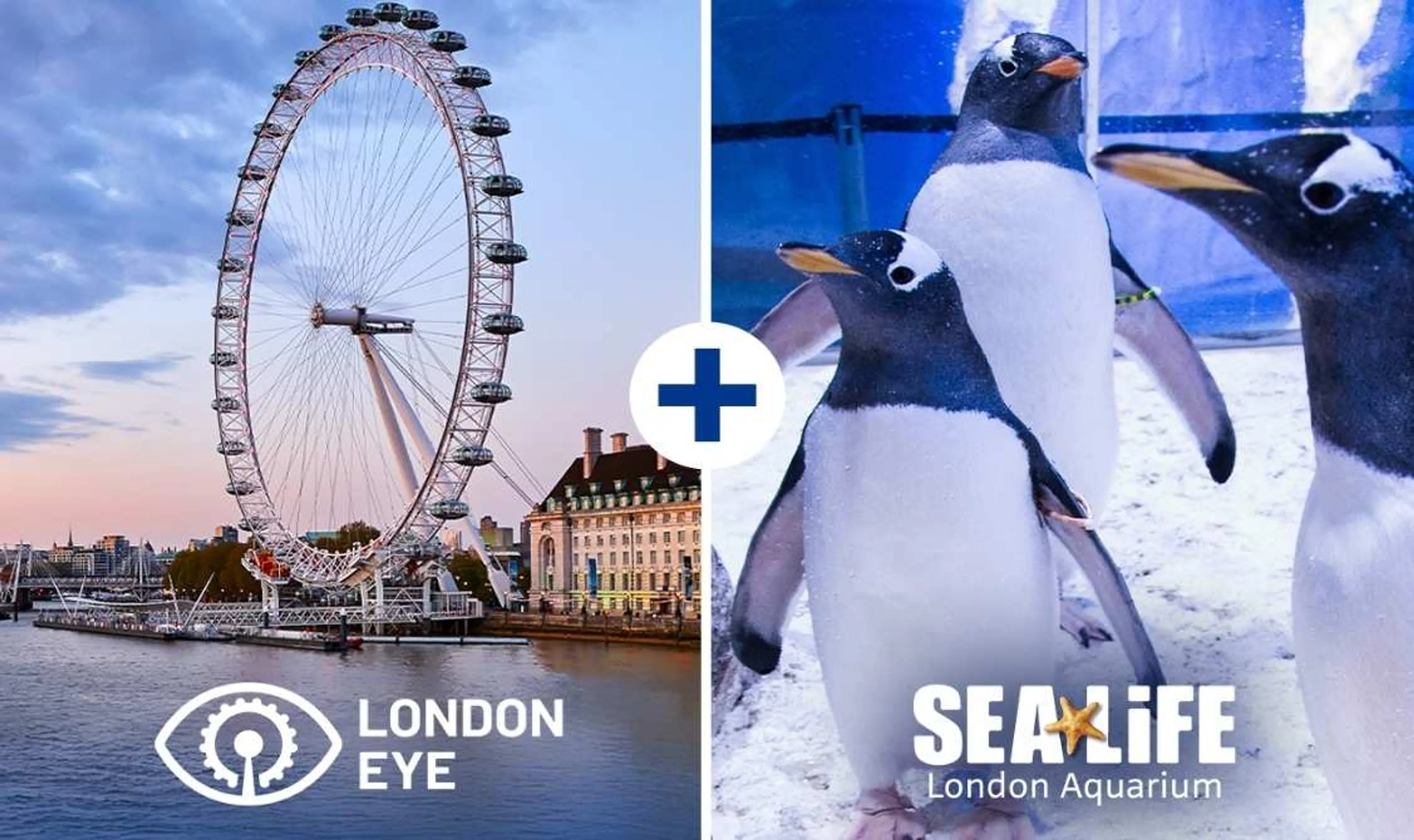 London Eye + SEA LIFE £35 Ticket Bundle