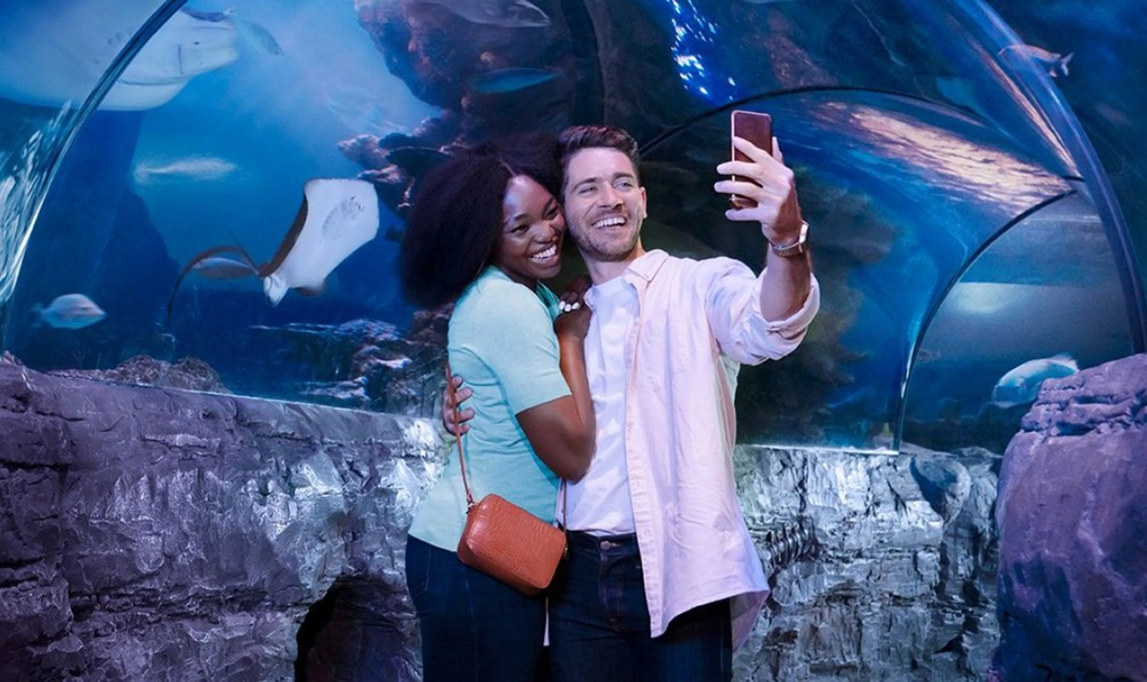 Save on Merlin attractions & experiences