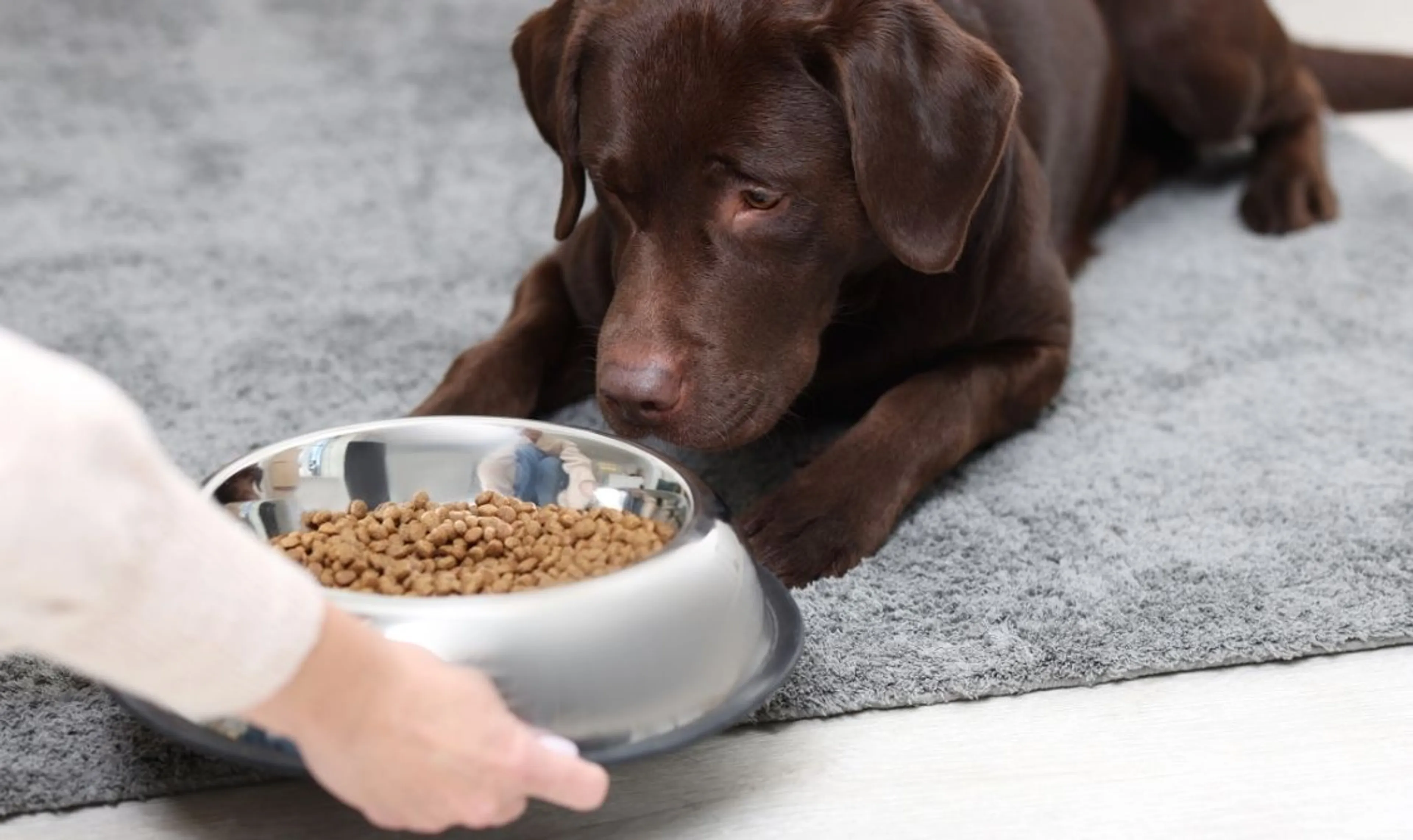 Free Delivery when you spend £39+