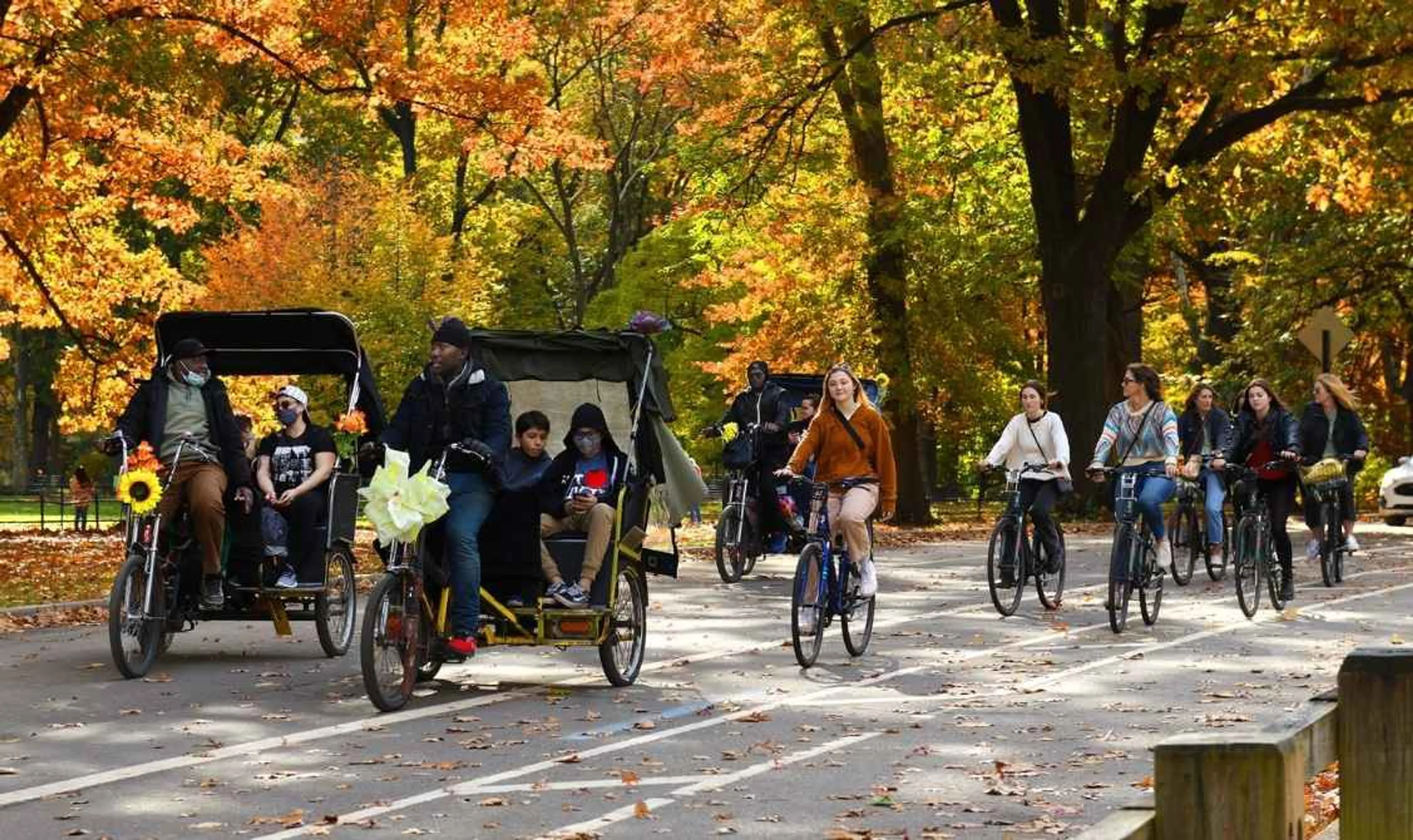 12% Off Tours & Experiences!