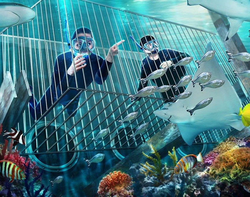 Virgin Experience Days