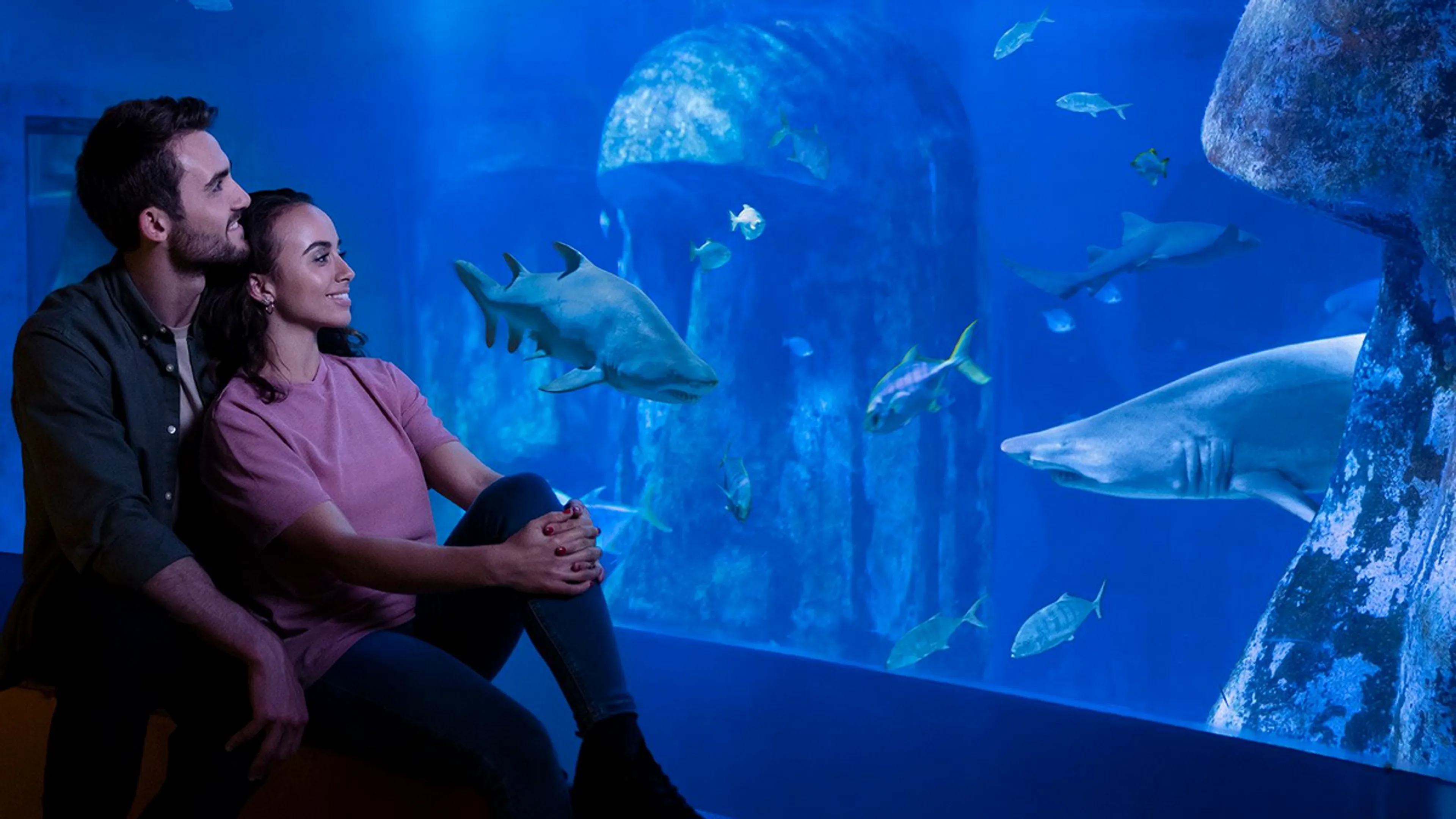 Win 4 tickets to SEA LIFE! 🦈