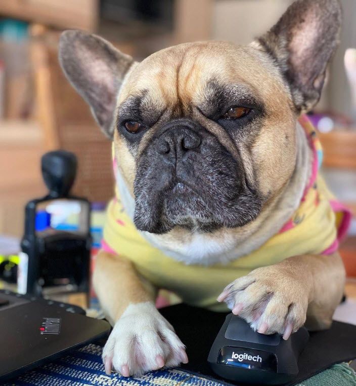 Logitech 25 Off UNiDAYS student discount November 2020