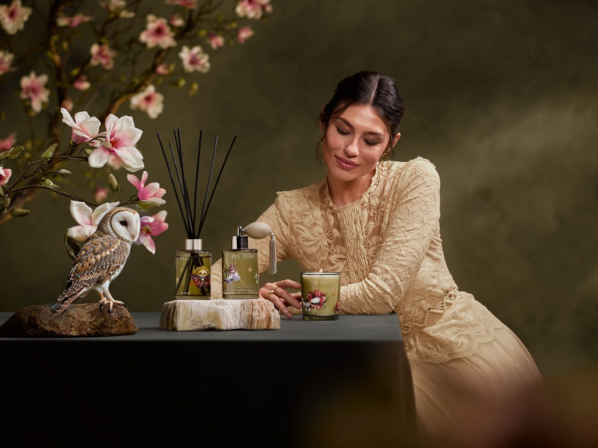 🤎 New Limited Edition – Intuitia 🦉