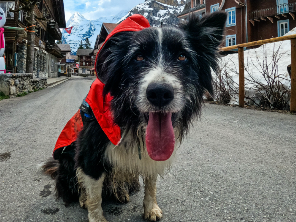 So sehe ich bei der Hitze aktuell übrigens auch aus 😅