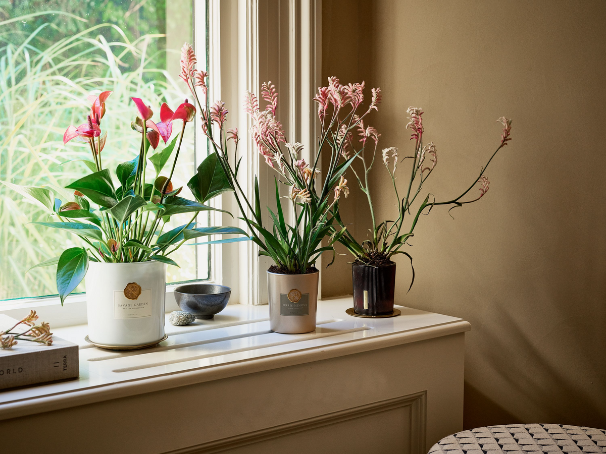 Desde maceteros hasta cajas de fotos: cómo reutilizar tus productos Rituals