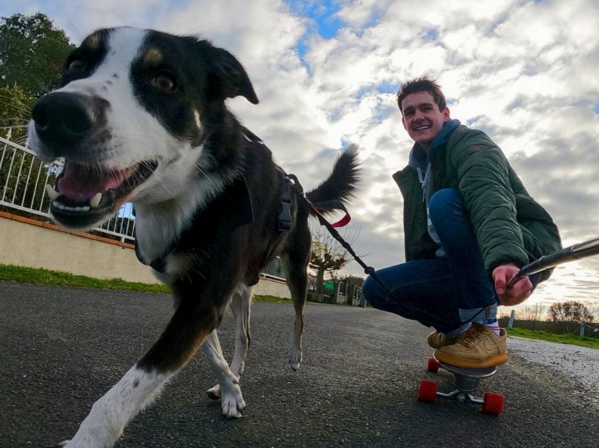 Wuff wuff, Wau Wau! [ins Deutsche übersetzen 💬👇 ]