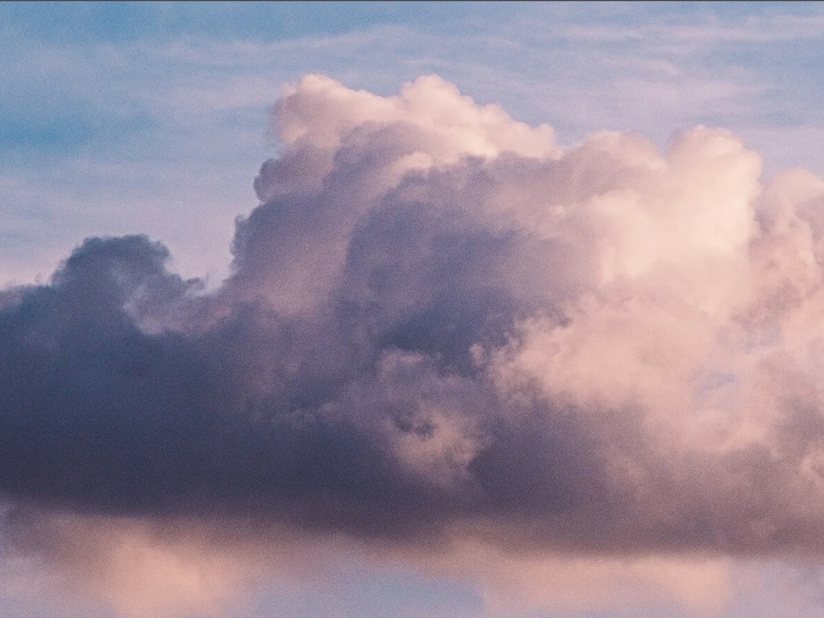 Help us lead change 🌎