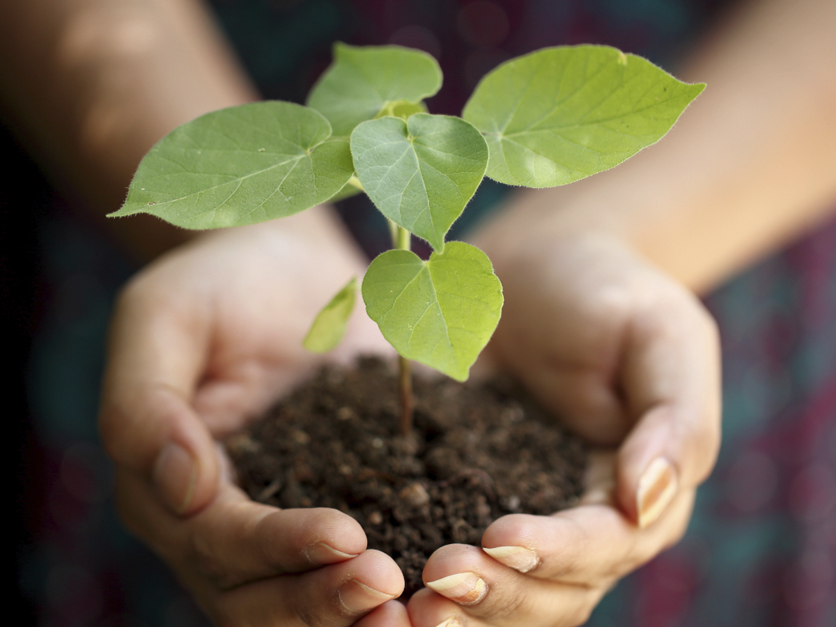 10 consigli pratici per vivere in modo più consapevole 💚