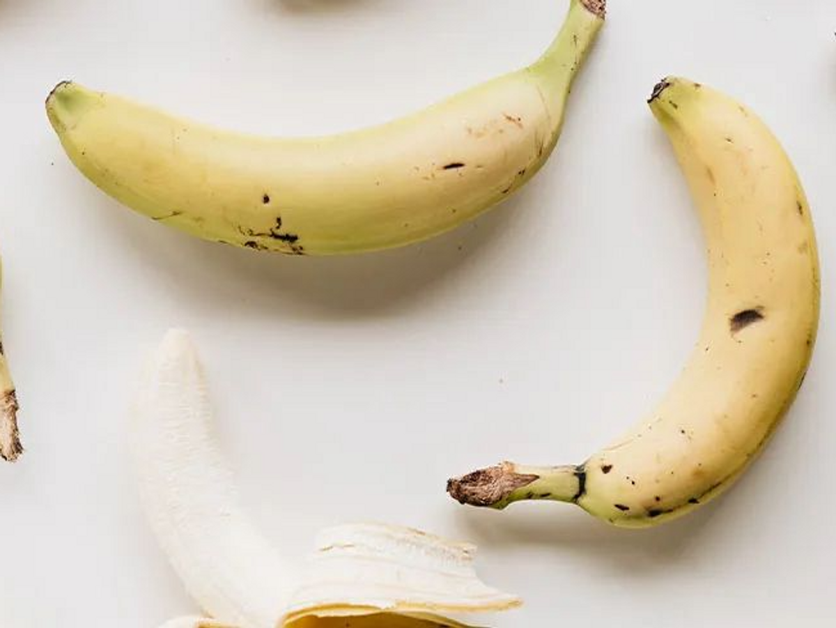 Our top 5 Vegan Essentials