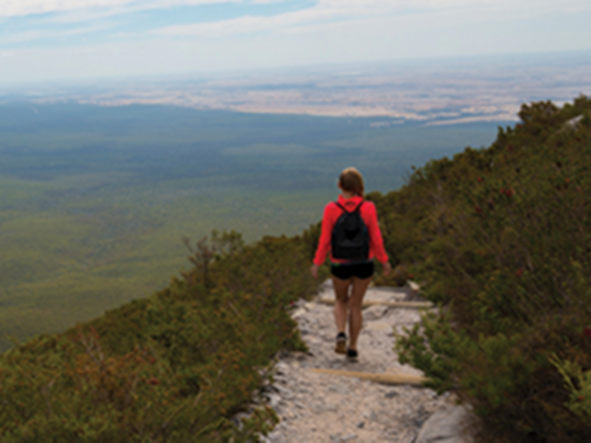 Top Tips For Travelling Solo Around Australia