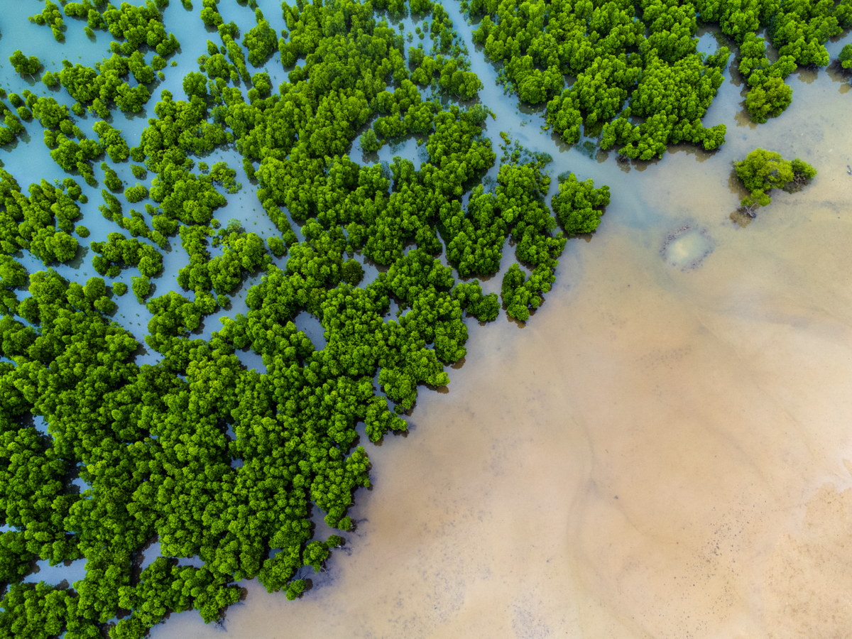 Rituals ha dato il suo impegno per raggiungere il Net-Zero 💚