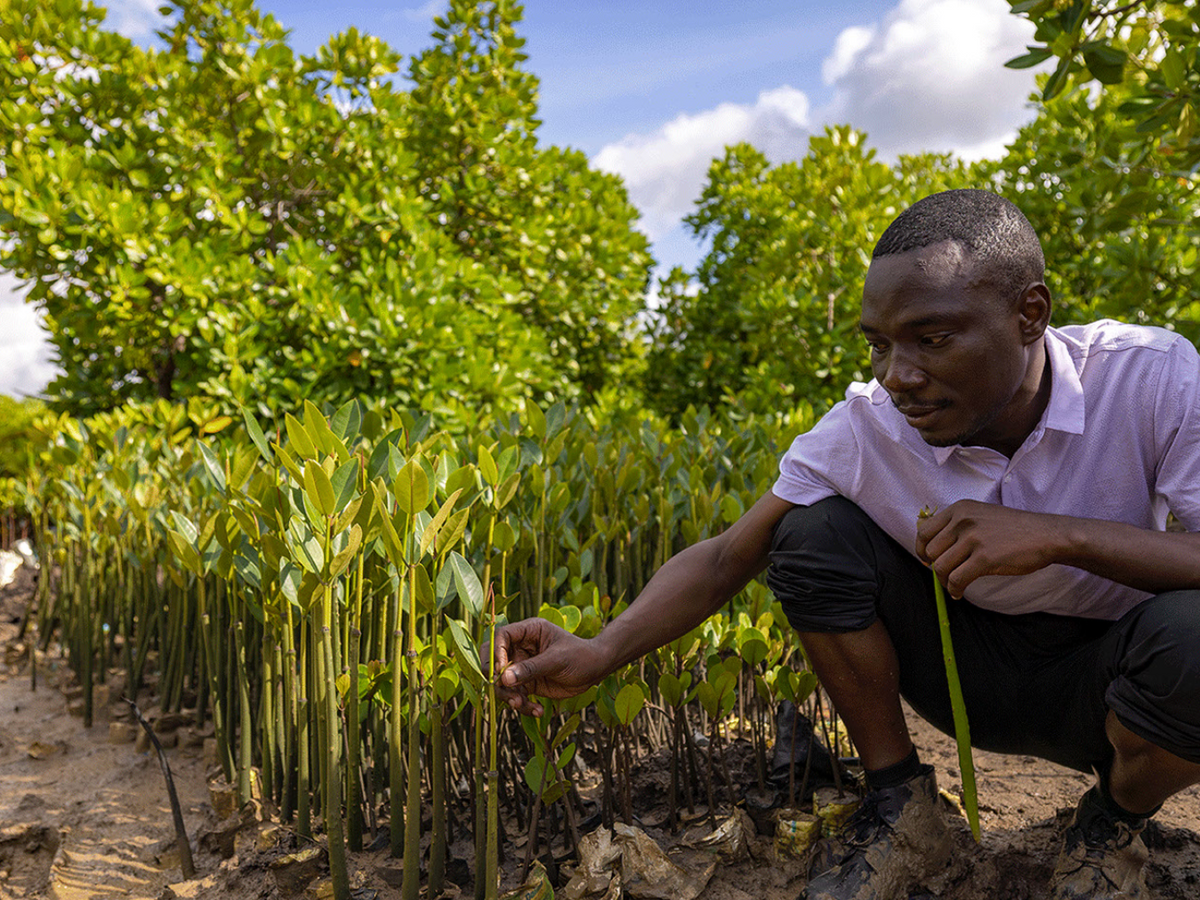 Entdecke unsere Nachfüllpackungen!