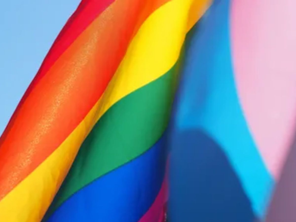 Pleasure for Everyone 🌈