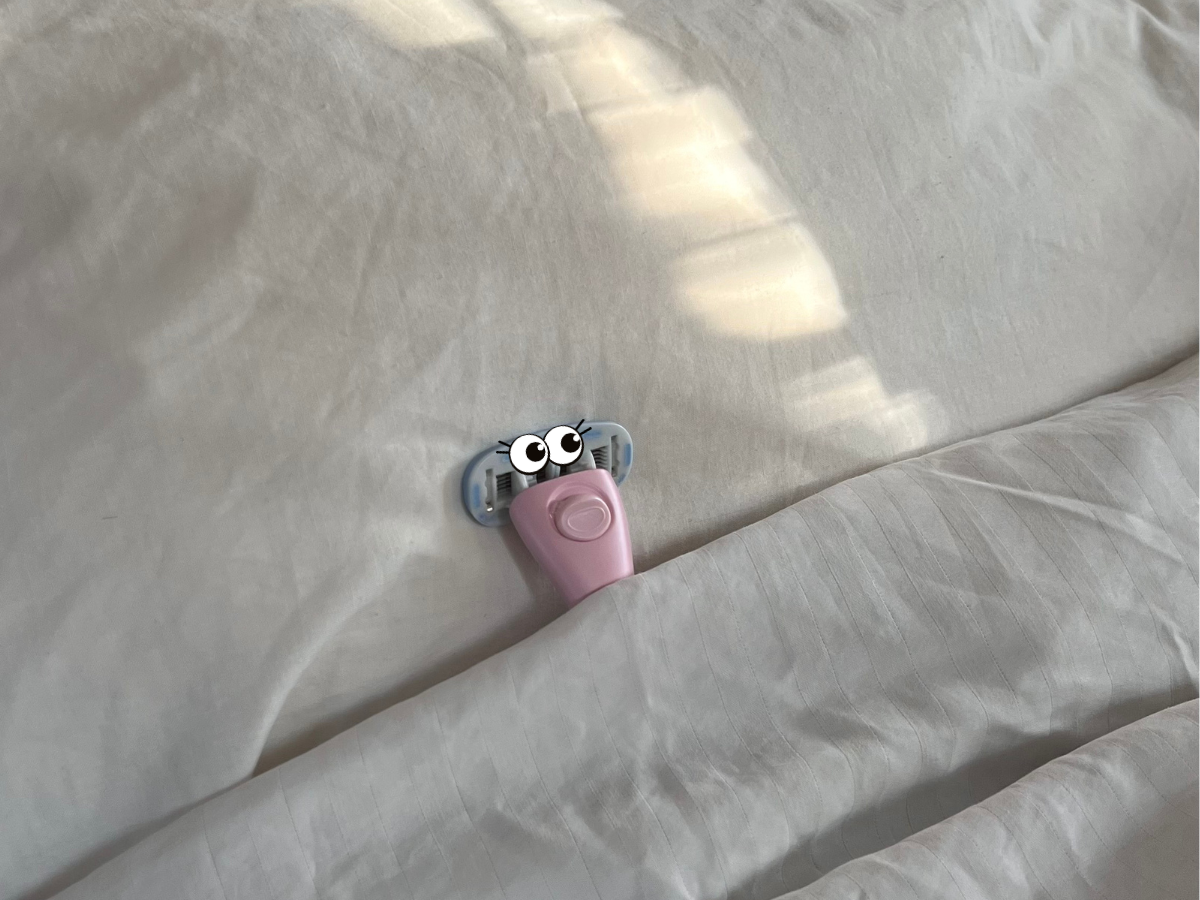 Refusing that the Holiday is over and I need to get back to my daily routine.