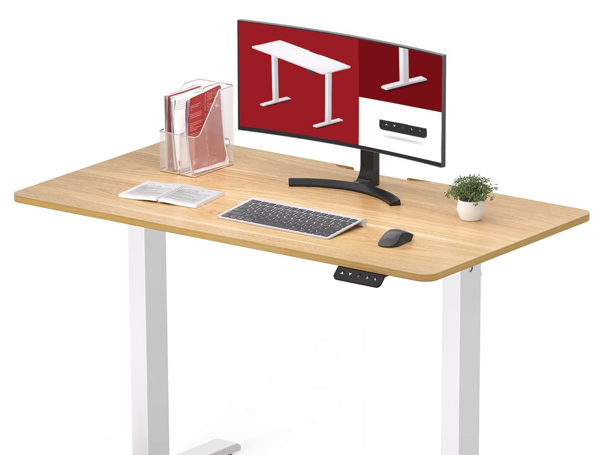 FlexiSpot Lite: Scelta per Rapporto Qualità-Prezzo