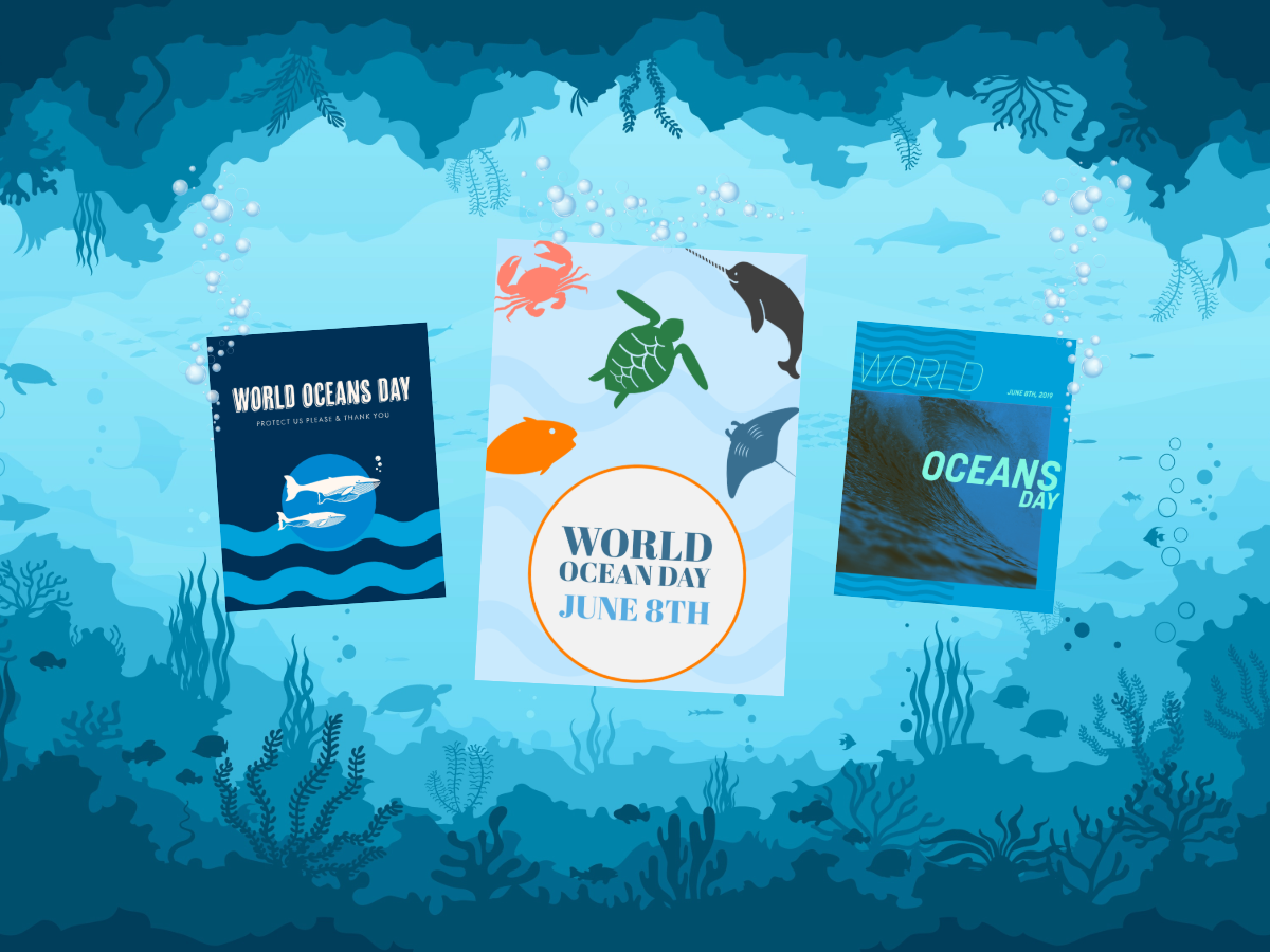 Tomorrow it is world ocean day 🌊