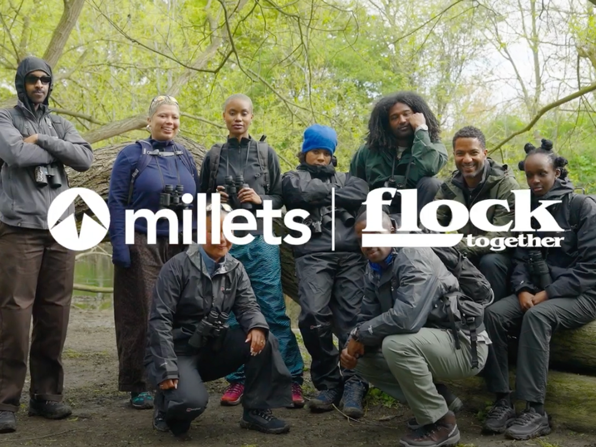 Get to Know: Flock Together