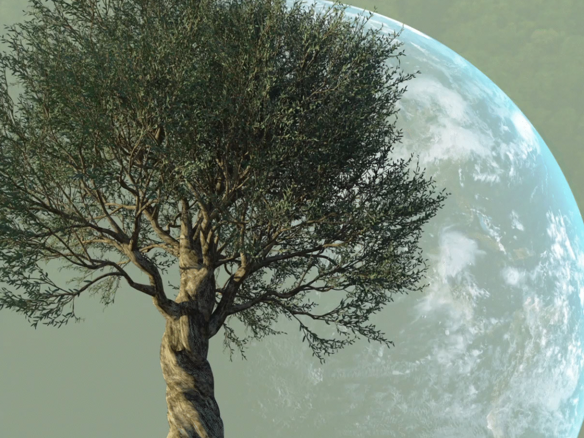 20% Rabatt zur Earth Week