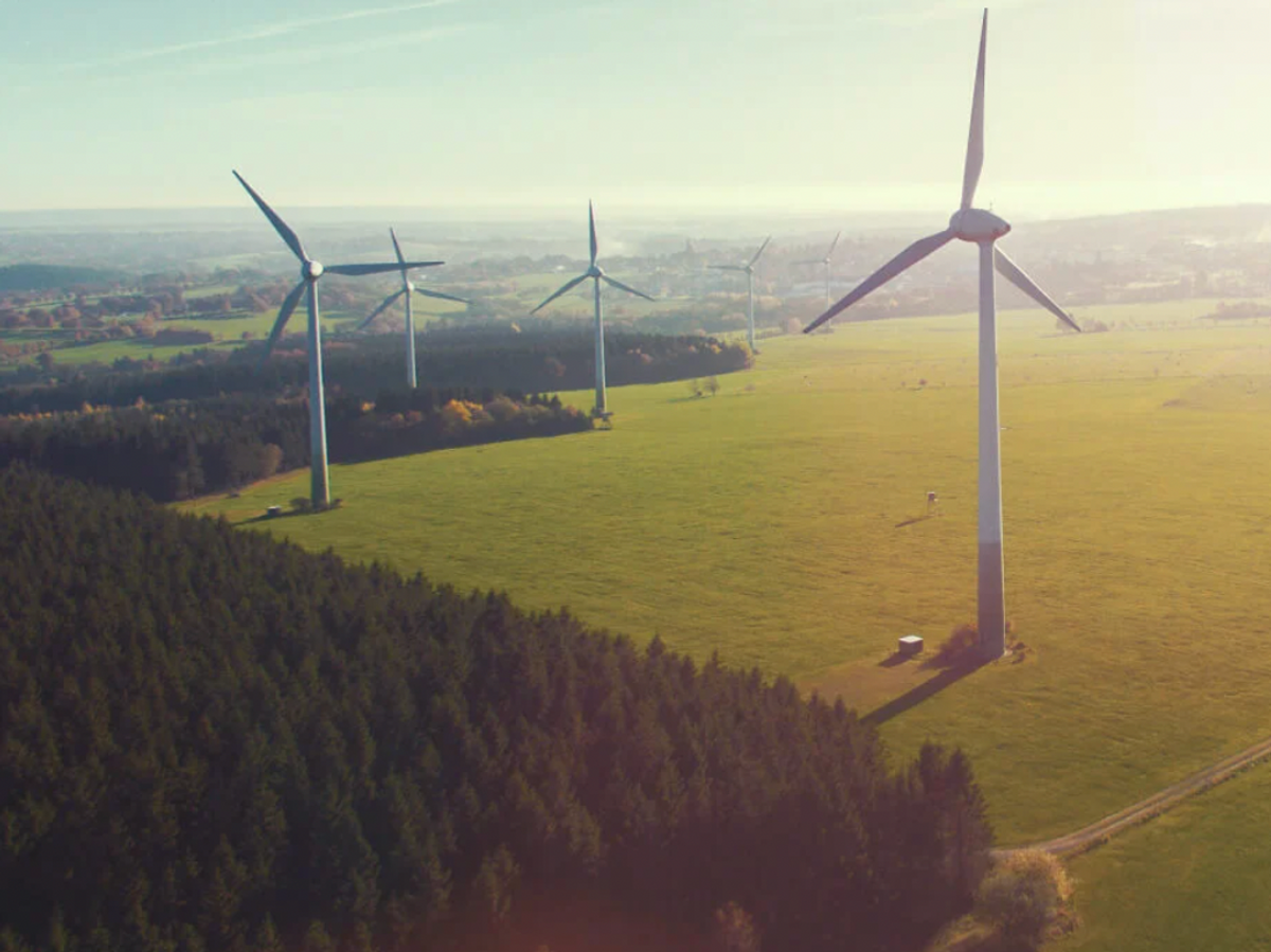 Free Climate Compensated Shipping 🌎📦