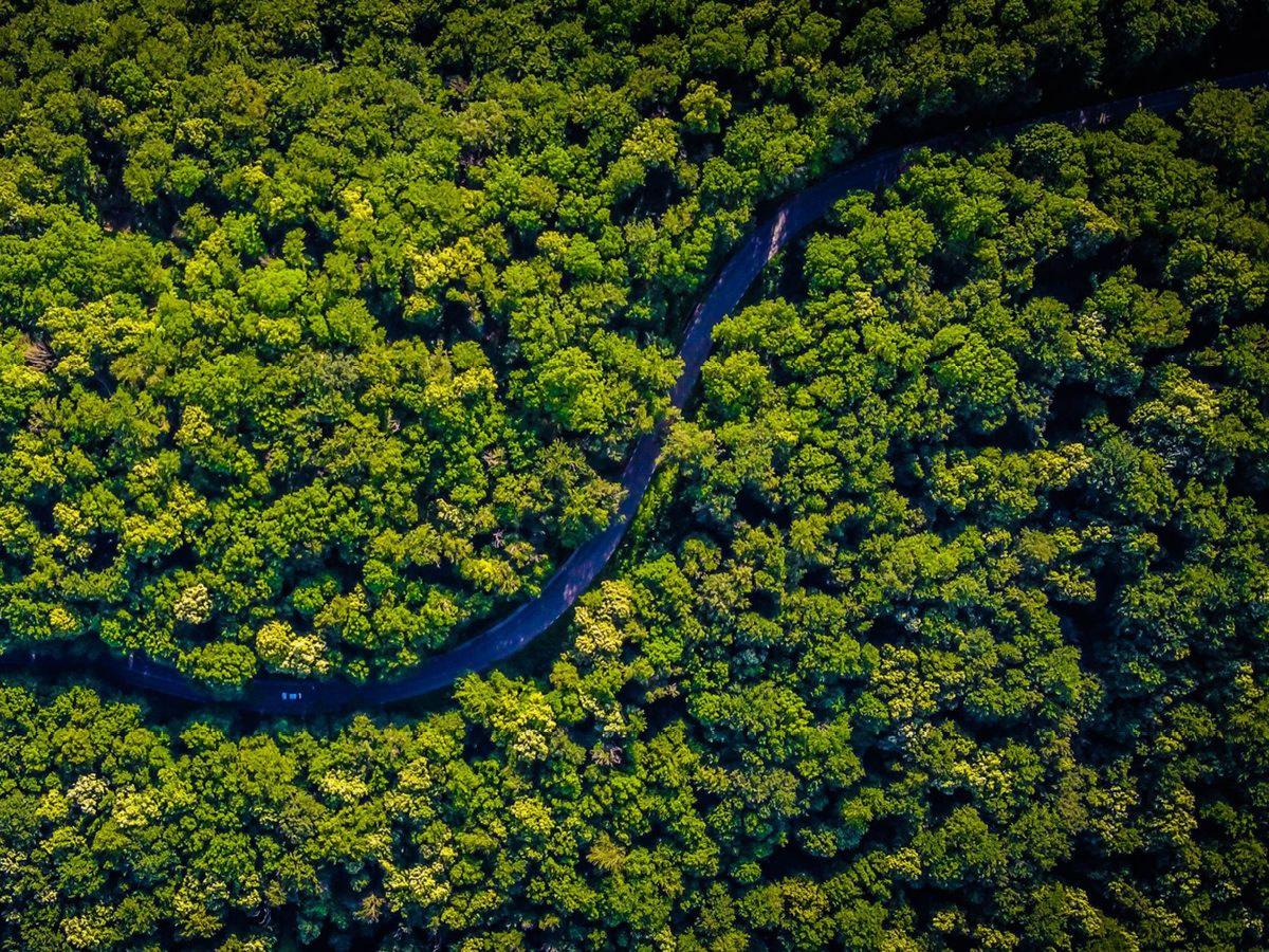 Sustainability at yfood