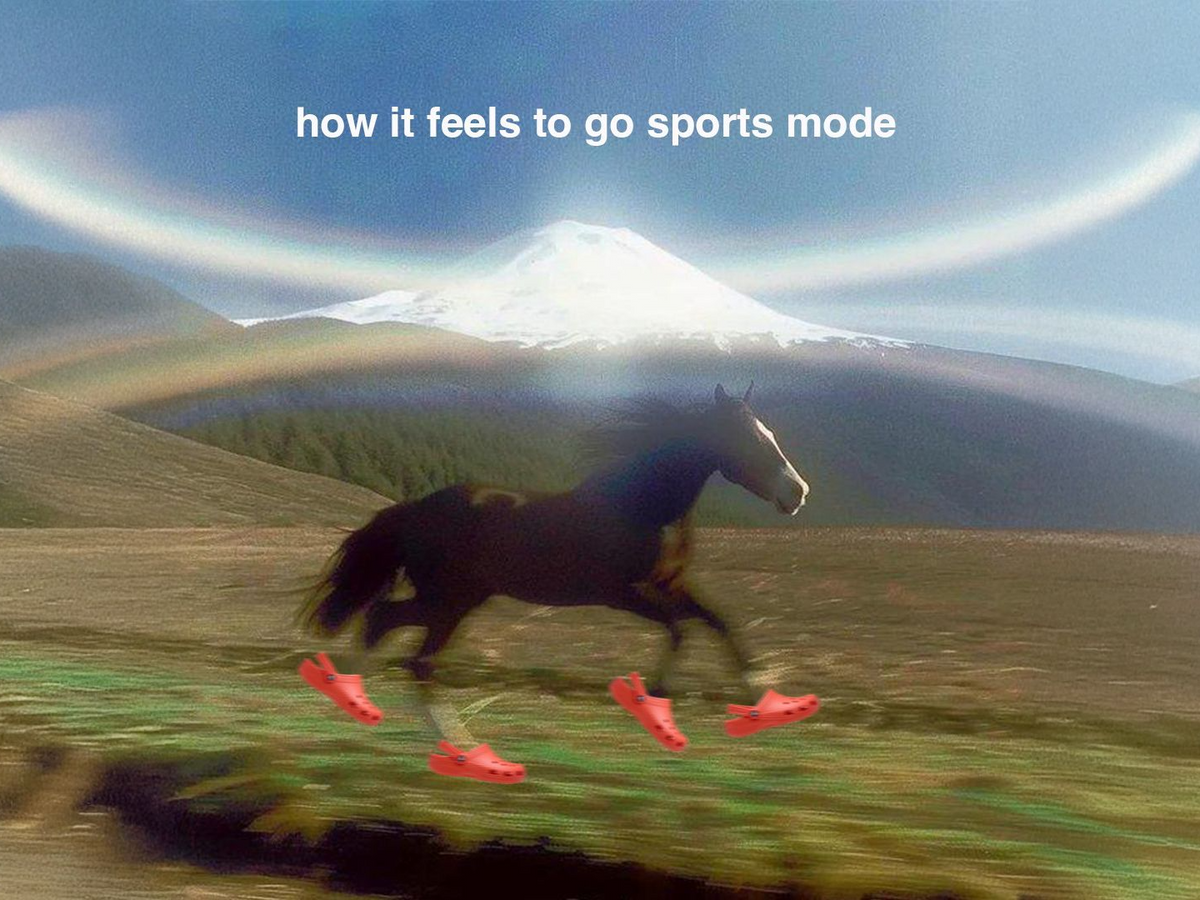 No horses were harmed in the making of this meme🐎