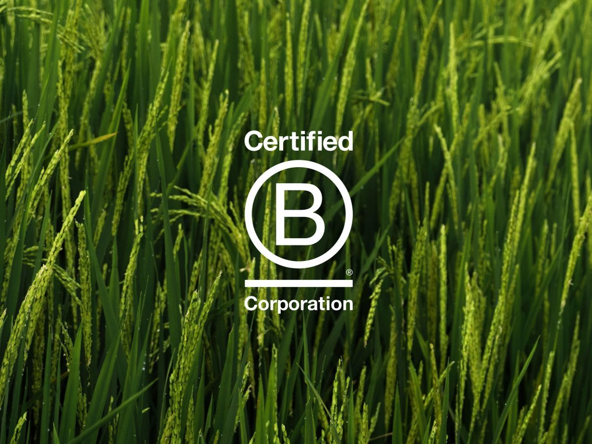 B-Corp dit, B-Corp dat, maar wat betekent het? 🌿