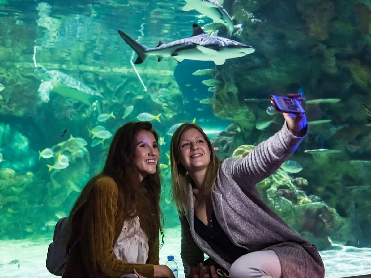 🎓 Dive in with student exclusive discounts at Sea Life.