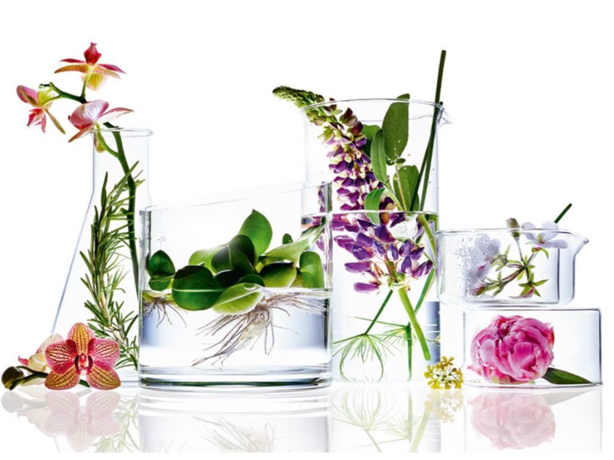 Annemarie Börlind bei Douglas entdecken