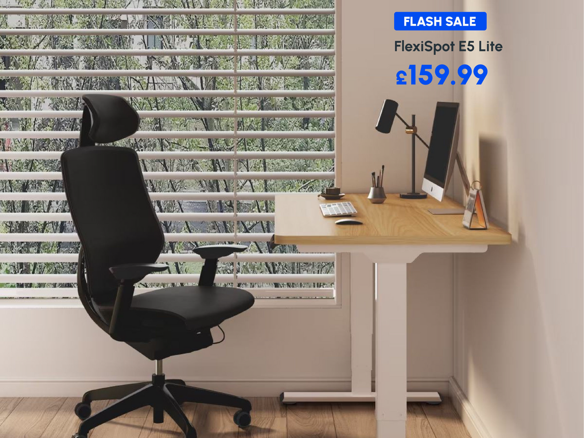 FlexiSpot E5 Lite Standing Desk