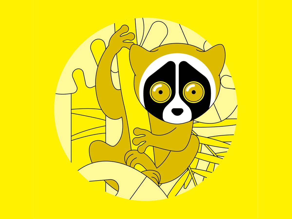 Mehr Energie für ein besseres Morgen - dank 100% Ökostrom und Klimabeitrag.