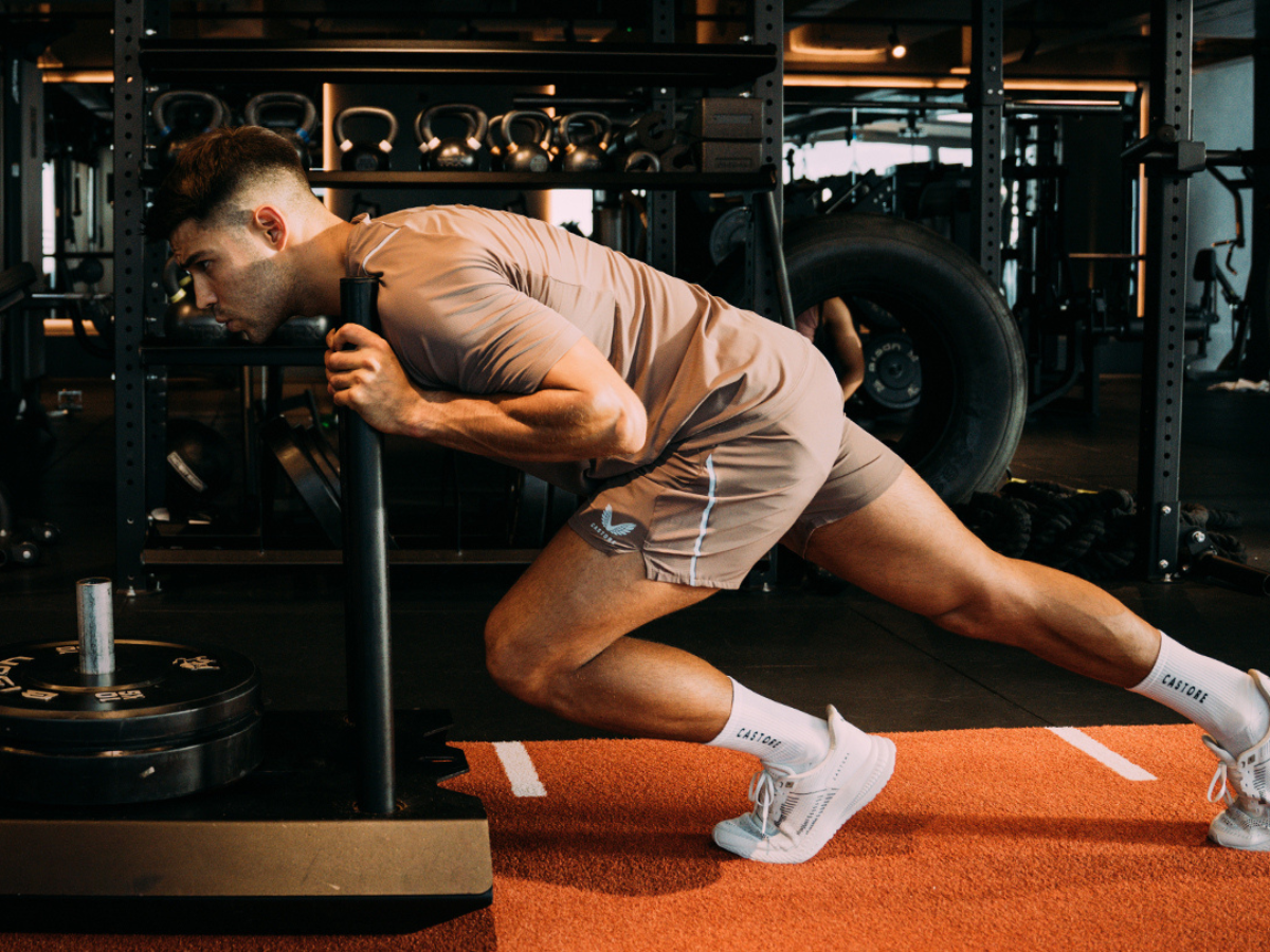 The Ultimate Training Collection