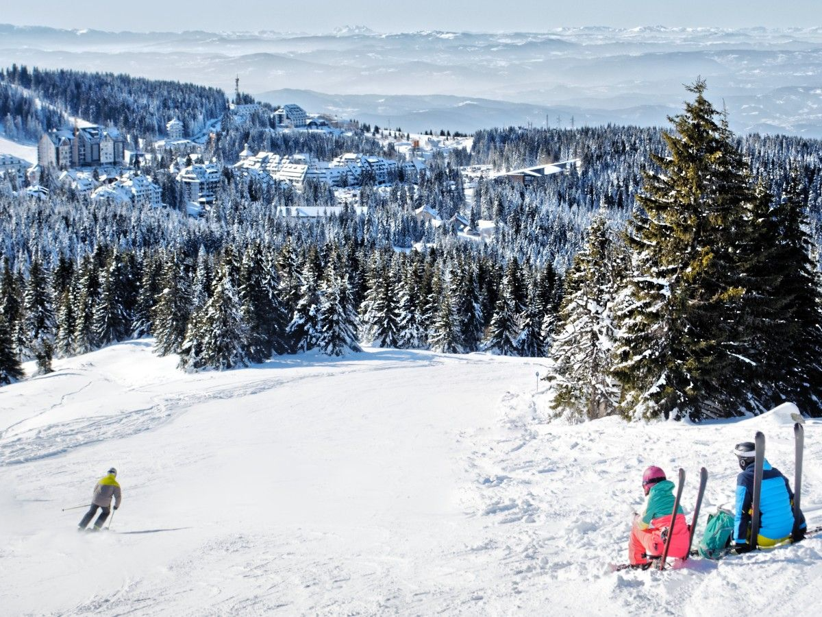 Who said you had to go home for the holidays 🤨