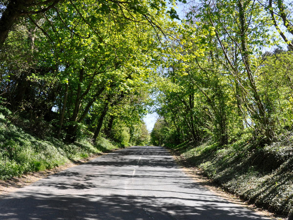 Make the most of summer