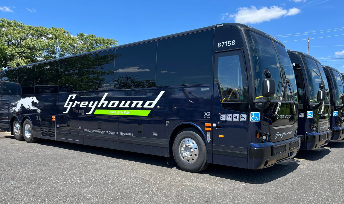 Greyhound