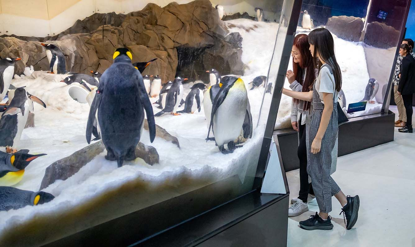 SEA LIFE Melbourne Aquarium