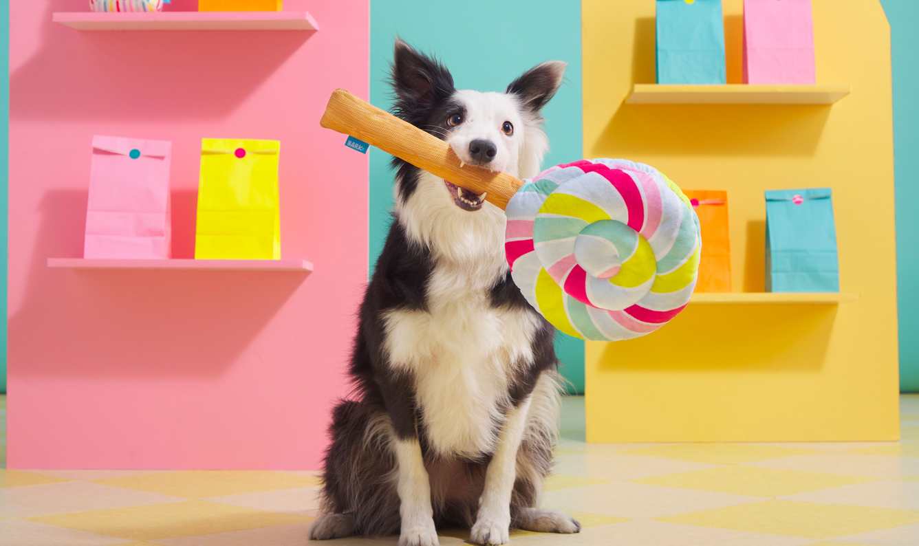 BarkBox 50 Off Student Discount UNiDAYS student discount November 2023