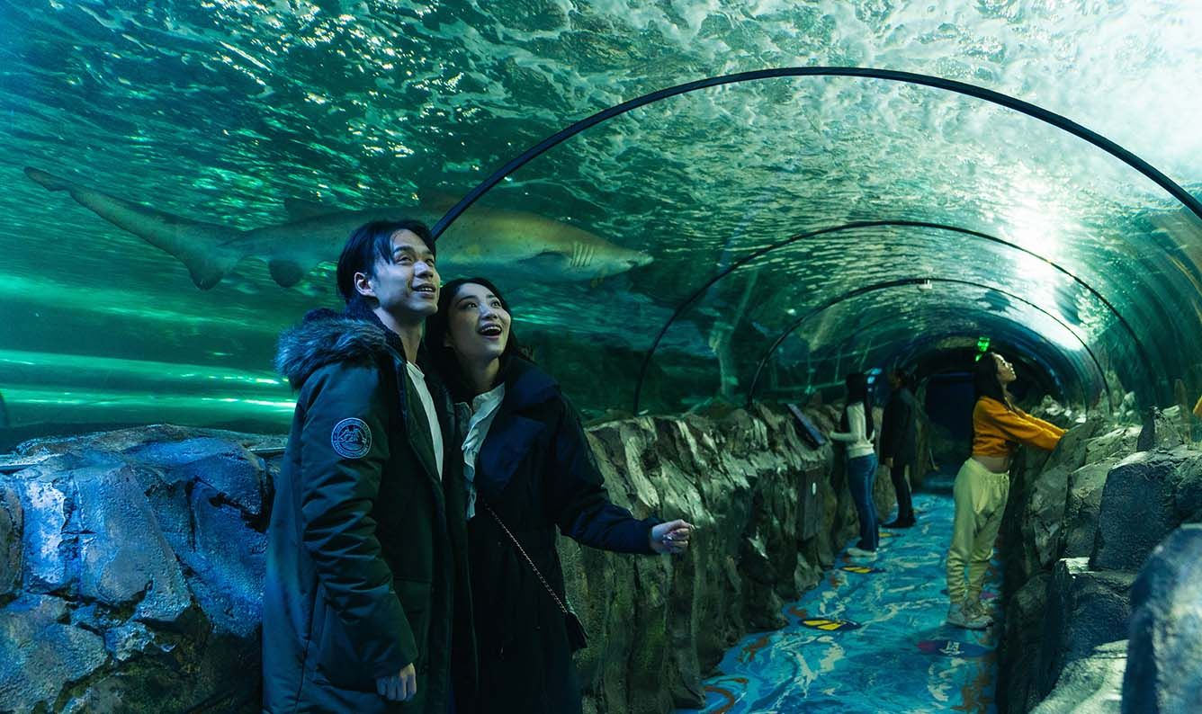 SEA LIFE Sydney Aquarium