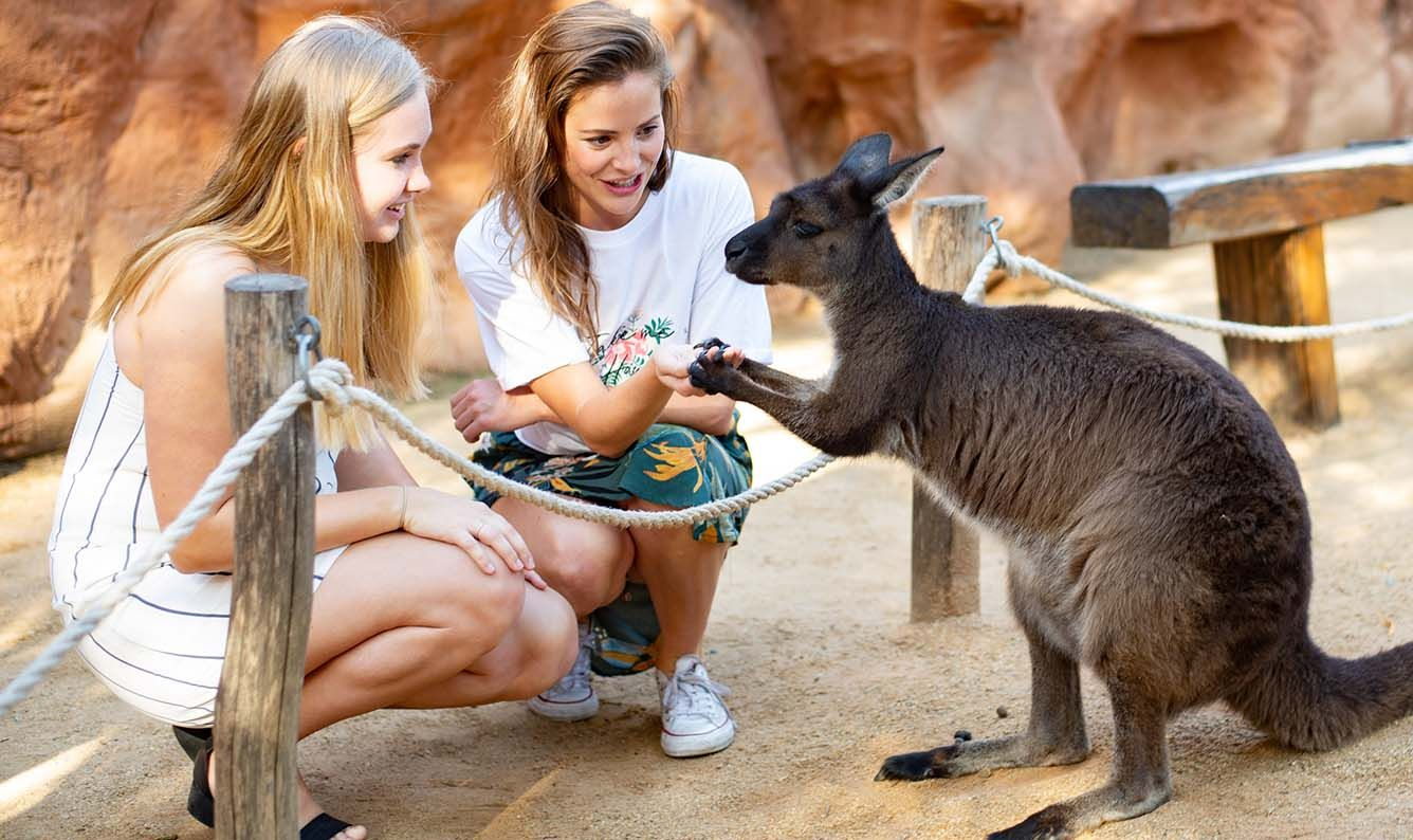 WILD LIFE Sydney Zoo