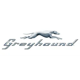 Greyhound